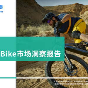 大数跨境-2024全球E-Bike市场洞察报告